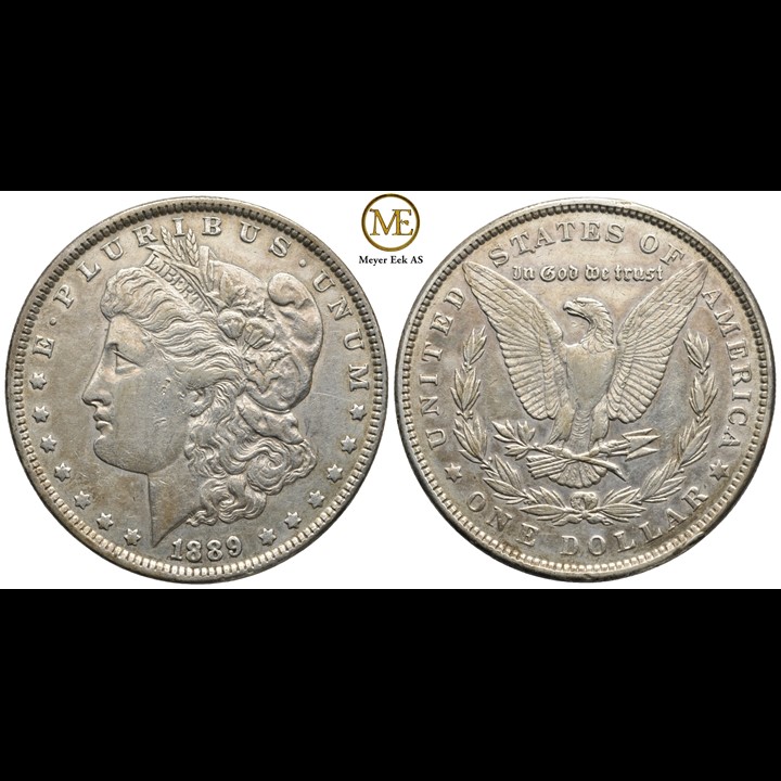 Morgan dollar 1889. Kv.1+/01